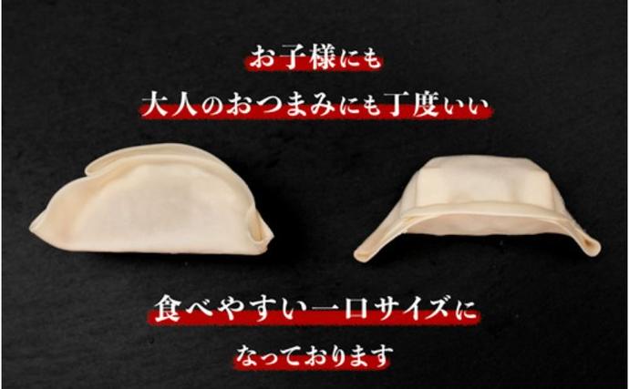 岐阜県海津市のふるさと納税 発芽にんにく餃子30個入り3パック　餃子 にんにく にんにくたっぷり 国産にんにく 発芽にんにく 冷凍 臭わない 栄養価抜群 スタミナ 免疫アップ おつまみ おかず 総菜 餃子専門店 ぎょうざ 工場直売 大量 まとめ買い