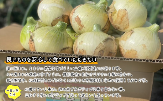 兵庫県淡路市のふるさと納税 淡路島産ブランド新玉ねぎ 極早生 「にじたま」  3kgダンボール入り【発送時期2026年2月中旬～4月頃】