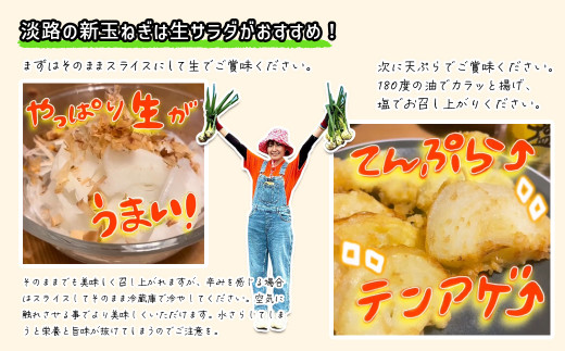 兵庫県淡路市のふるさと納税 淡路島産ブランド新玉ねぎ 極早生 「にじたま」  3kgダンボール入り【発送時期2026年2月中旬～4月頃】