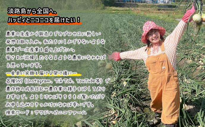 兵庫県淡路市のふるさと納税 淡路島産ブランド新玉ねぎ 極早生 「にじたま」  3kgダンボール入り【発送時期2026年2月中旬～4月頃】