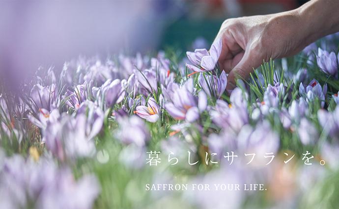 美容液 サフラン 30ml 国産サフラン 瀬戸サフラン エッセンス