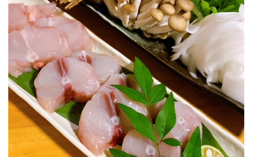 茨城県守谷市のふるさと納税 トラフグ てっちり 鍋 錦ふぐ ぽんす セット とらふぐ 切り身 260g×2パック 【茨城県共通返礼品　河内町】