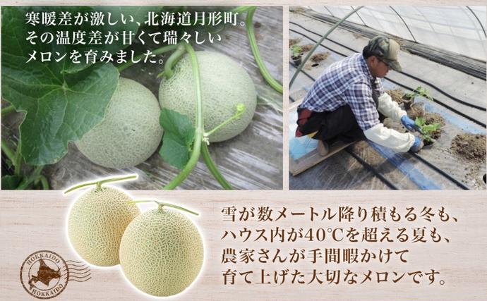 北海道月形町のふるさと納税 【2026年夏発送】北海道 赤肉メロン 北の女王 青肉メロン 月雫 秀品 約1.6kg 各2玉 令和8年 メロン 果物 フルーツ 旬 希少 甘い 豊潤 国産 ご褒美 産地直送 ギフト お祝い 贈答品 贈り物 お中元 常温 お取り寄せ