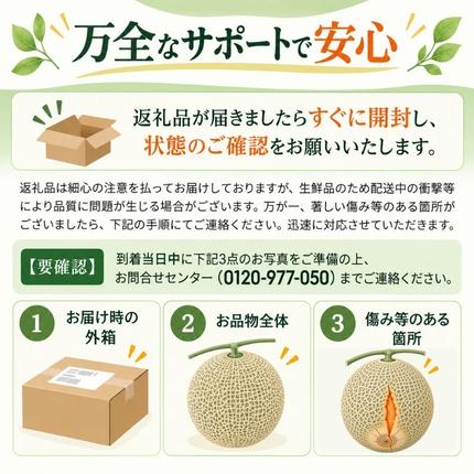 北海道月形町のふるさと納税 〈先行受付〉【2027年夏発送】北海道 赤肉メロン 北の女王 青肉メロン 月雫 秀品 約1.6kg 各1玉 令和9年 メロン 果物 フルーツ 旬 希少 甘い 豊潤 国産 産地直送 ギフト お祝い 贈答品 贈り物 お中元 お取り寄せ 送料無料