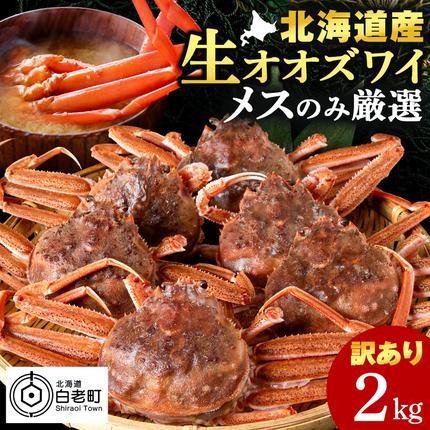 北海道産 生大ズワイガニ メス 2kg ずわいがに 蟹 〈斉藤水産
