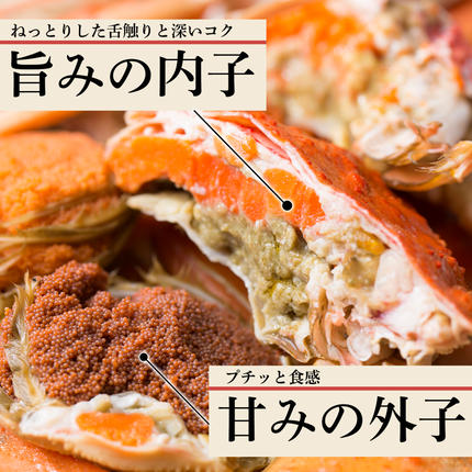 北海道産 生大ズワイガニ メス 2kg ずわいがに 蟹 〈斉藤水産