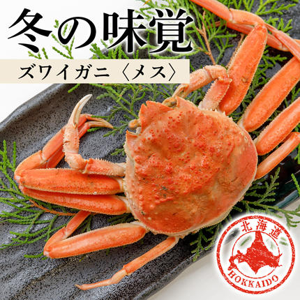 北海道産 生大ズワイガニ メス 2kg ずわいがに 蟹 〈斉藤水産