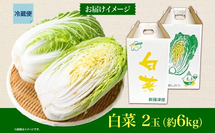 新しのつ産 白菜 2玉 約6kg はくさい ハクサイ 旬 国産 新鮮 北海道産