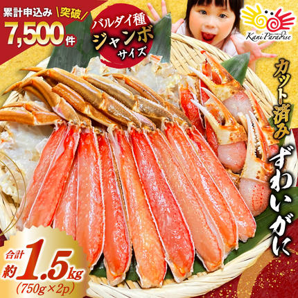 宮城県気仙沼市のふるさと納税 カット済 ずわいがに むき身セット 総重量1.5kg(750g×2p) かにしゃぶ かに鍋 正味重量1.2kg [カネダイ 宮城県 気仙沼市 20564319] かに カニ ずわいがに ずわい 蟹 棒 魚介 海鮮 ポーション