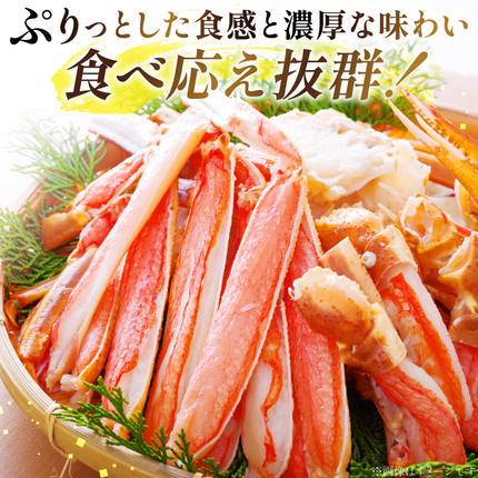 宮城県気仙沼市のふるさと納税 カット済 ずわいがに むき身セット 総重量1.5kg(750g×2p) かにしゃぶ かに鍋 正味重量1.2kg [カネダイ 宮城県 気仙沼市 20564319] かに カニ ずわいがに ずわい 蟹 棒 魚介 海鮮 ポーション