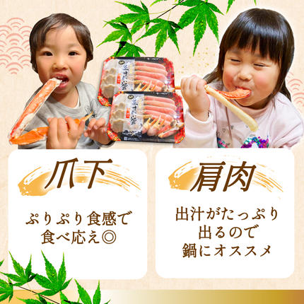 宮城県気仙沼市のふるさと納税 カット済 ずわいがに むき身セット 総重量1.5kg(750g×2p) かにしゃぶ かに鍋 正味重量1.2kg [カネダイ 宮城県 気仙沼市 20564319] かに カニ ずわいがに ずわい 蟹 棒 魚介 海鮮 ポーション
