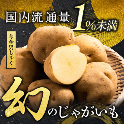 TVで紹介！【先行予約】今金男しゃく（Lサイズ）約10kg【GI認証取得