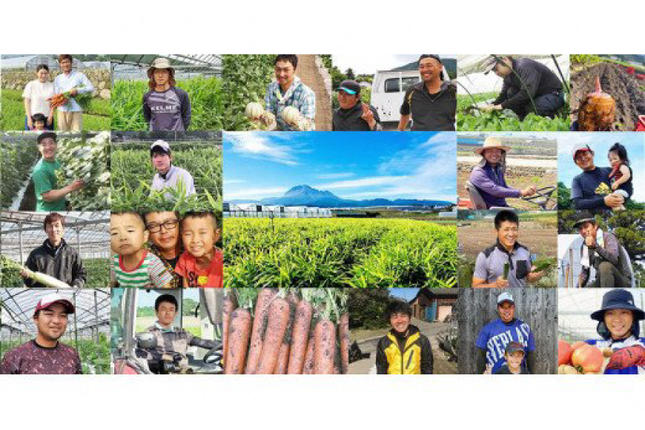 長崎県島原市のふるさと納税 BE276 【令和8年度出荷分】小玉スイカ「うり坊」5kg（1.7kg以上×2～3玉） ～名水百選の里 島原産～