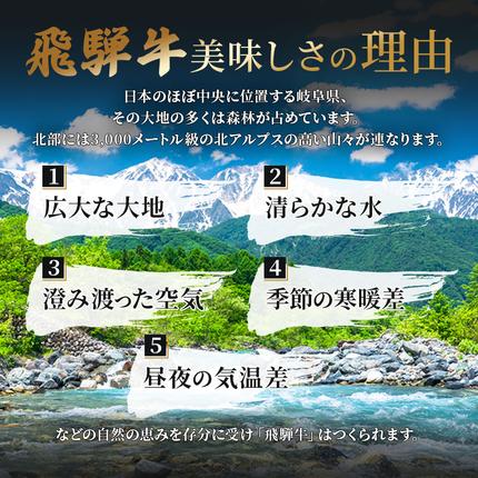 岐阜県池田町のふるさと納税 飛騨牛 牛肉 すき焼き しゃぶしゃぶ ロース スライス 600g A5 和牛 すきやき すき焼き肉 すき焼き用肉 シャブシャブ お肉 ブランド和牛