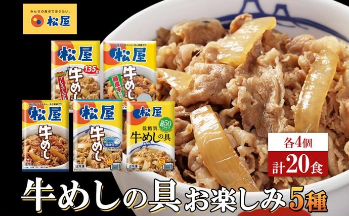 埼玉県嵐山町のふるさと納税 松屋牛めしの具 5種20個 お楽しみセット 豪州産 国産 糖質オフ お肉 牛 冷凍 時短 簡単 便利 保存 ストック 総菜 夕食 夜食 レンチン おかず お取り寄せ グルメ 非常食 備蓄 夜食 牛丼 埼玉県 嵐山町
