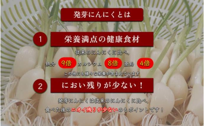 岐阜県海津市のふるさと納税 発芽にんにく餃子30個入り 餃子 にんにく にんにくたっぷり 国産にんにく 発芽にんにく 冷凍 臭わない 栄養価抜群 スタミナ 免疫アップ おつまみ おかず 総菜 餃子専門店 ぎょうざ 工場直売