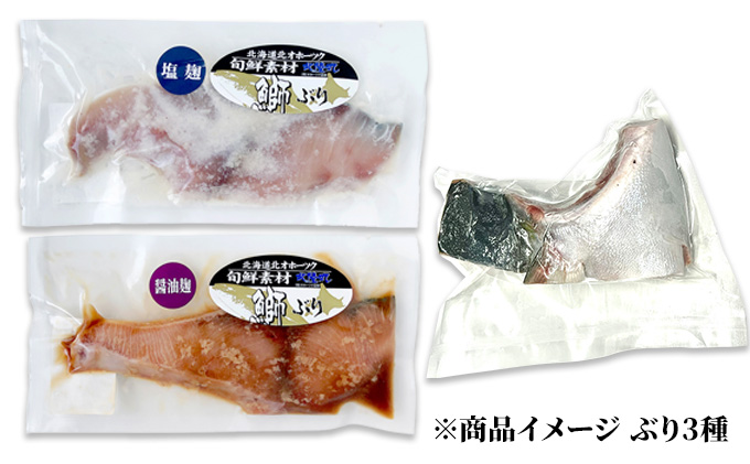 北海道枝幸町のふるさと納税 北隆丸 鮭・ブリ・ニシン3種の漬けセット【全3回定期便】【 干物 魚貝類 漬魚 味噌漬け 魚貝類 加工食品 北海道 オホーツク 枝幸 】
