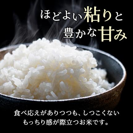北海道仁木町のふるさと納税 6ヵ月 定期便 (無洗米2kg)ホクレンゆめぴりか(無洗米2kg×1袋)袋はチャック付 北海道米 お米 白米 ごはん ご飯 ライス 和食 炭水化物 主食 おにぎり お弁当 ほど良い粘り 豊かな甘み つややか セット 特A [JA新おたる]