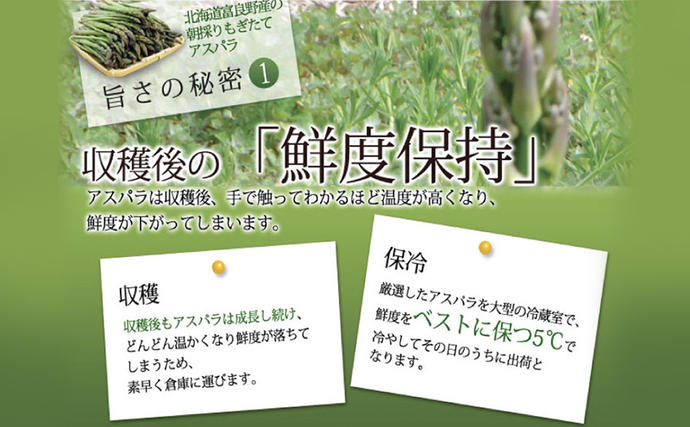北海道富良野市のふるさと納税 【2027年春発送】極太 グリーンアスパラ 3Lサイズ 1kg (スイートベジタブルファクトリー)