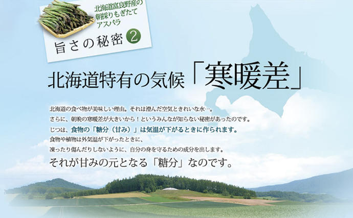 北海道富良野市のふるさと納税 【2027年春発送】極太 グリーンアスパラ 3Lサイズ 1kg (スイートベジタブルファクトリー)