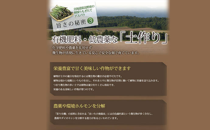 北海道富良野市のふるさと納税 【2027年春発送】極太 グリーンアスパラ 3Lサイズ 1kg (スイートベジタブルファクトリー)