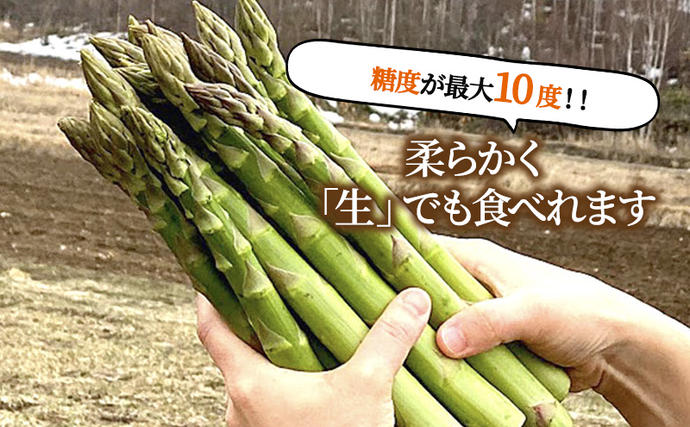 北海道富良野市のふるさと納税 【2027年春発送】極太 グリーンアスパラ 3Lサイズ 1kg (スイートベジタブルファクトリー)