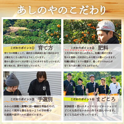 和歌山県湯浅町のふるさと納税 ZE6378n_有田の不知火(しらぬひ) 【訳あり　家庭用】　3kg (S～4Lサイズ混合)まごころ手選別