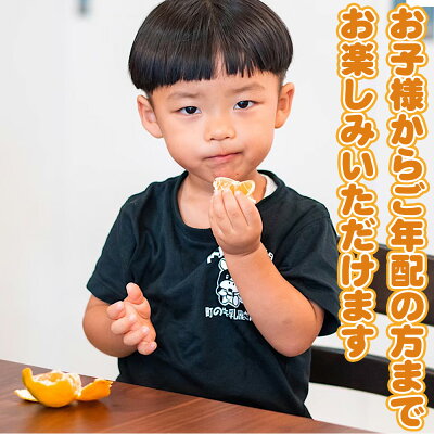 和歌山県湯浅町のふるさと納税 ZE6378n_有田の不知火(しらぬひ) 【訳あり　家庭用】　3kg (S～4Lサイズ混合)まごころ手選別