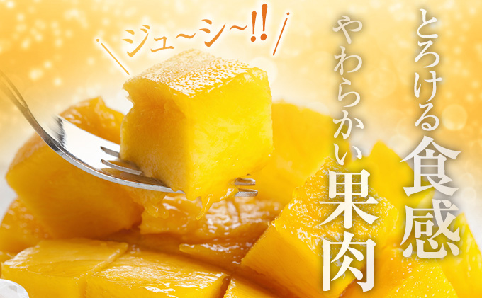 宮崎県日南市のふるさと納税 訳あり 宮崎県産 完熟マンゴー 約1.8kg 期間限定 数量限定 フルーツ 果物 くだもの 国産 食品 デザート おやつ フルーツサンド おすすめ ご褒美 贅沢 産地直送 傷 規格外 訳アリ おすそ分け 家庭用 冷蔵 宮崎県 日南市 送料無料_DA32-24