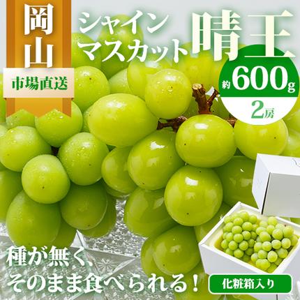 【2026年先行予約】シャインマスカット晴