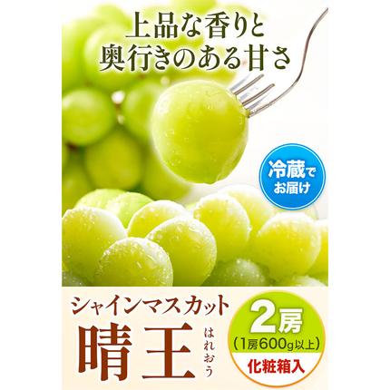 岡山県浅口市のふるさと納税 【2026年先行予約】シャインマスカット晴王 はれおう 2房(1房600g以上) 化粧箱入 株式会社山博(中本青果)《2026年8月下旬-10月中旬頃出荷》岡山県 浅口市 シャインマスカット 晴王 ぶどう マスカット 大粒 フルーツ 秀品 果物 ギフト 国産 岡山県産 送料無料 【配送不可地域あり】