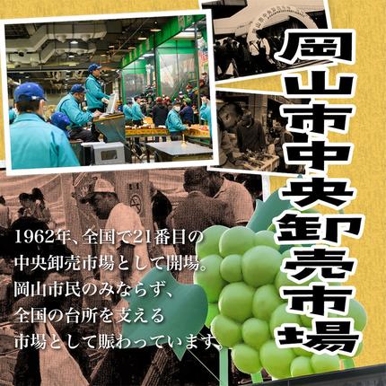 岡山県浅口市のふるさと納税 【2026年先行予約】シャインマスカット晴王 はれおう 2房(1房600g以上) 化粧箱入 株式会社山博(中本青果)《2026年8月下旬-10月中旬頃出荷》岡山県 浅口市 シャインマスカット 晴王 ぶどう マスカット 大粒 フルーツ 秀品 果物 ギフト 国産 岡山県産 送料無料 【配送不可地域あり】