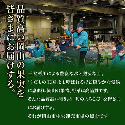 岡山県浅口市のふるさと納税 【2026年先行予約】シャインマスカット晴王 はれおう 2房(1房600g以上) 化粧箱入 株式会社山博(中本青果)《2026年8月下旬-10月中旬頃出荷》岡山県 浅口市 シャインマスカット 晴王 ぶどう マスカット 大粒 フルーツ 秀品 果物 ギフト 国産 岡山県産 送料無料 【配送不可地域あり】