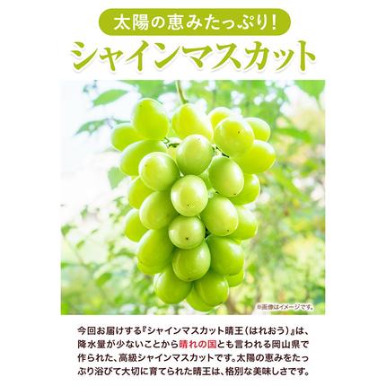 岡山県浅口市のふるさと納税 【2026年先行予約】シャインマスカット晴王 はれおう 2房(1房600g以上) 化粧箱入 株式会社山博(中本青果)《2026年8月下旬-10月中旬頃出荷》岡山県 浅口市 シャインマスカット 晴王 ぶどう マスカット 大粒 フルーツ 秀品 果物 ギフト 国産 岡山県産 送料無料 【配送不可地域あり】
