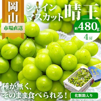 [2026年先行予約]シャインマスカット晴王 はれおう 4房(1房480g以上) 約2kg 株式会社山博(中本青果)[2026年8月下旬-10月中旬頃出荷]岡山県 浅口市 シャインマスカット 晴王 ぶどう マスカット 大粒 フルーツ 秀品 旬 果物 贈り物 ギフト 国産 岡山県産 送料無料 [配送不可地域あり]