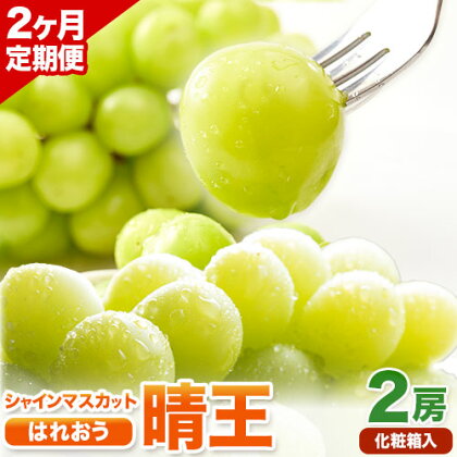 [2026年先行予約][2ヶ月定期便] シャインマスカット晴王 はれおう 2房入り(1房600g以上) 化粧箱入 株式会社山博(中本青果)[2026年8月下旬から9月下旬出荷] 定期 計2回お届け 岡山県 浅口市 ぶどう マスカット 大粒 フルーツ 秀品 果物 ギフト 送料無料[配送不可地域あり]