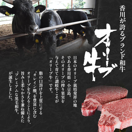 香川県東かがわ市のふるさと納税 香川県産黒毛和牛オリーブ牛　1kg「切り落とし 250g×4p」 お肉 牛肉