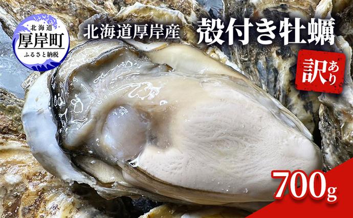 北海道厚岸町のふるさと納税 訳あり 北海道 厚岸産 殻付き 牡蠣 700g 魚貝類 生牡蠣 海の幸 海鮮 オイスター 濃厚な甘み グルメ