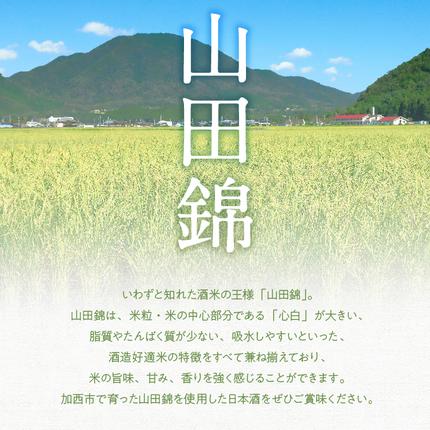 兵庫県加西市のふるさと納税 山田錦 堪能セット 定期便 6ヶ月 4蔵元 6種 日本酒 純米酒 純米吟醸酒 セット コタニ 清酒 お酒 酒 アルコール 日本酒 低アルコール日本酒 日本酒セット 純米大吟醸 飲み比べセット 飲み比べ 6回 半年 お楽しみ