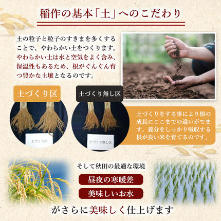 秋田県にかほ市のふるさと納税 米 定期便 全3回【2ヶ月に1回】秋田県産 ひとめぼれ 2kg ×3回 計6kg 令和7年産土づくり実証米 JAしんせい【 精米 白米 米 コメ お米 おこめ ブランド米 ご飯 ごはん 低たんぱく 産地直送 送料無料 高評価 秋田 にかほ 】