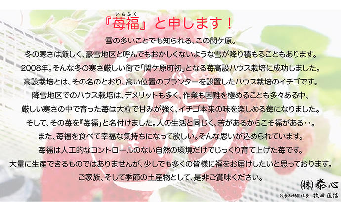岐阜県関ケ原町のふるさと納税 【関ケ原町産苺福使用】苺福みるくぷりん・ジャムセット