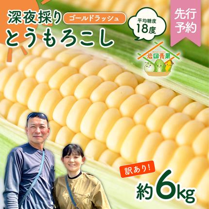 茨城県八千代町のふるさと納税 【先行予約 2026年6月中旬以降発送 】 【 令和8年産 】 【 訳あり 】 深夜採り 朝出荷 とうもろこし （ ゴールドラッシュ ） 約 6kg トウモロコシ スイートコーン コーン 野菜 産地直送 期間限定 岩田さん 昼めし旅 [AX021ya]
