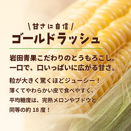茨城県八千代町のふるさと納税 【先行予約 2026年6月中旬以降発送 】 【 令和8年産 】 【 訳あり 】 深夜採り 朝出荷 とうもろこし （ ゴールドラッシュ ） 約 6kg トウモロコシ スイートコーン コーン 野菜 産地直送 期間限定 岩田さん 昼めし旅 [AX021ya]