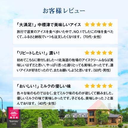北海道中標津町のふるさと納税 【無添加】 北海道 プレミアムミルクアイスクリーム×6個【11037】