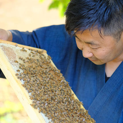 茨城県古河市のふるさと納税 季節で移ろう田舎はちみつボトル3種セット[ピタッとボトルB3] 【茨城県共通返礼品／五霞町】 ※着日指定不可 | はちみつ ハチミツ 蜂蜜 生はちみつ 生ハチミツ 非加熱 茨城県産 国産 純粋 食べくらべ 食べ比べ セット 詰め合わせ   おすすめ ミツバチ 蜜蜂 みつばち 茨城県産 贈答 贈り物 プレゼント 茨城県 古河市 送料無料 _EY06