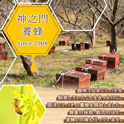 鹿児島県日置市のふるさと納税 No.1074 日置市産 はちみつ(500g×2本・計1kg) 国産 九州産 鹿児島県産 はちみつ ハチミツ 蜂蜜 山蜜 調味料 セット ギフト 贈答 プレゼント【神之門養蜂】