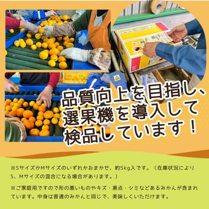 和歌山県湯浅町のふるさと納税 ZJ6078_【2026年先行予約】ご家庭用　和歌山 有田みかん 約5kg (S、Mサイズ)【湯浅町】