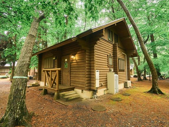 茨城県古河市のふるさと納税 ネーブルパーク 施設利用券 6,000円分（500円×12枚） | 利用券 公園 テーマパーク ポニー 工芸 パン キャンプ 宿泊 BBQ バーベキュー 地下迷路 迷路 自然 花 贈答 休日 夏休み 冬休み GW 贈り物 プレゼント 茨城県 古河市 送料無料 _DP14