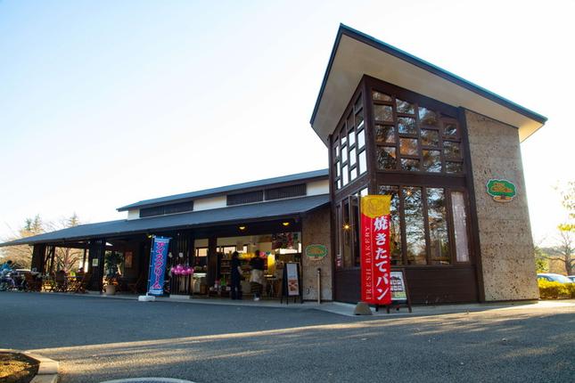 茨城県古河市のふるさと納税 ネーブルパーク 施設利用券 6,000円分（500円×12枚） | 利用券 公園 テーマパーク ポニー 工芸 パン キャンプ 宿泊 BBQ バーベキュー 地下迷路 迷路 自然 花 贈答 休日 夏休み 冬休み GW 贈り物 プレゼント 茨城県 古河市 送料無料 _DP14