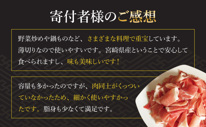 宮崎県串間市のふるさと納税 KU092-1【数量限定】宮崎県産豚こま切れ　計1kg(200g×5パック)　便利な個包装　【KU092】
